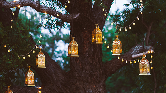 HART Holistic Support lanterns ceremonies
