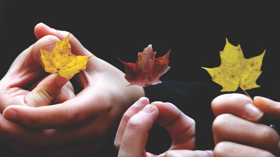 Feeling Your Way Mini Retreat HART Holistic Support Karen Abi-Karam